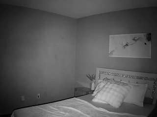 voyeurcam-whitneyoc-01